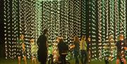 Crowd gathered in front of a green illuminated structure.